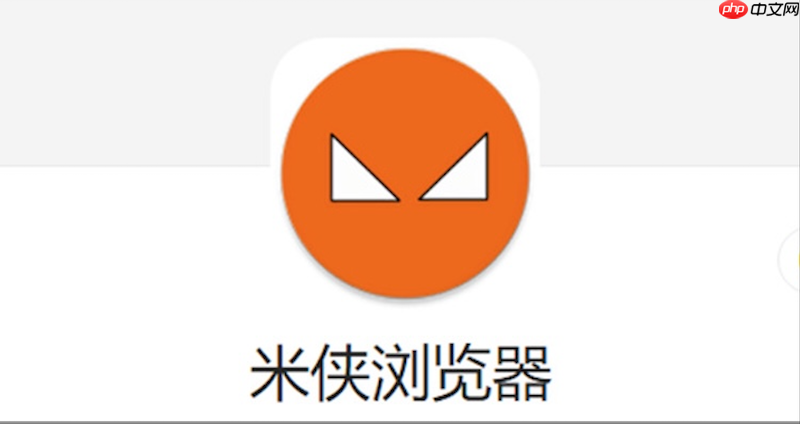 米侠浏览器网页图片加载不全怎么办 米侠浏览器图片显示优化设置