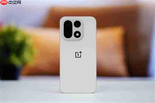 行业第一块165Hz高刷高分屏！一加15图赏