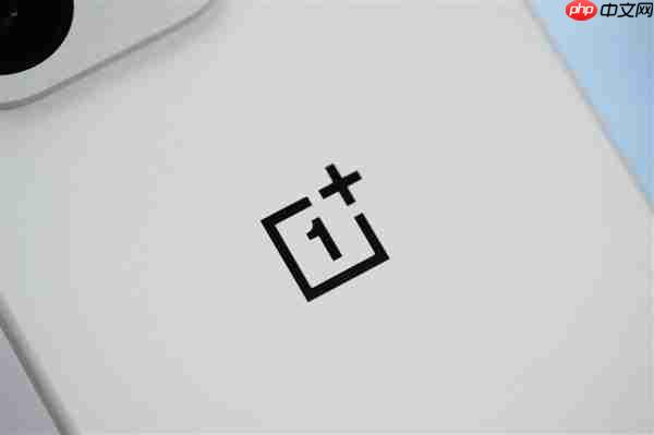 行业第一块165Hz高刷高分屏！一加15图赏