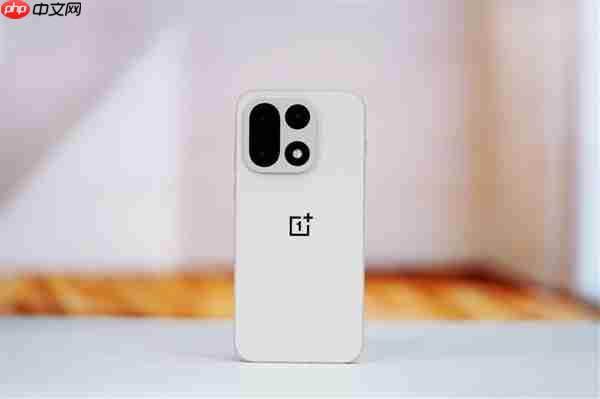 行业第一块165Hz高刷高分屏！一加15图赏