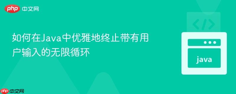 如何在Java中优雅地终止带有用户输入的无限循环
