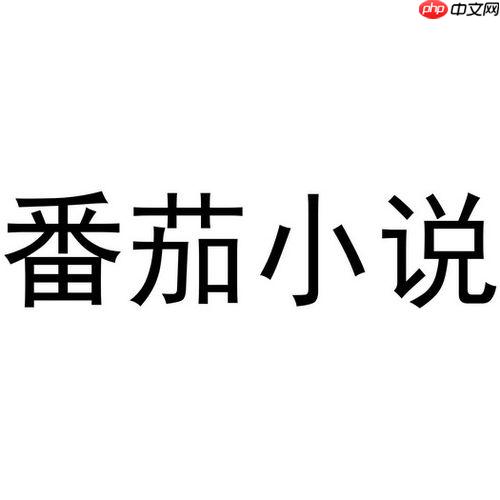 为什么番茄小说加载图片特别慢_番茄小说图片加载慢问题解决教程
