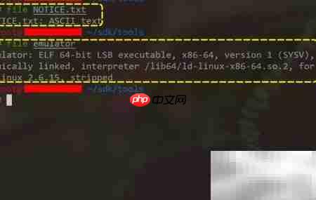 Win10学Linux：文件类型入门