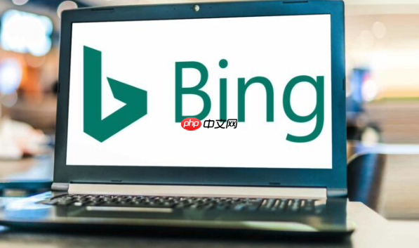 Bing搜索官方访问入口网址 Bing搜索官网直达链接官方首页