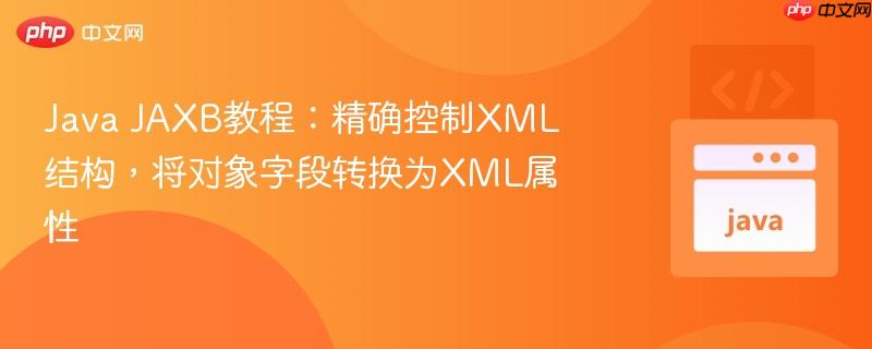 Java JAXB教程：精确控制XML结构，将对象字段转换为XML属性