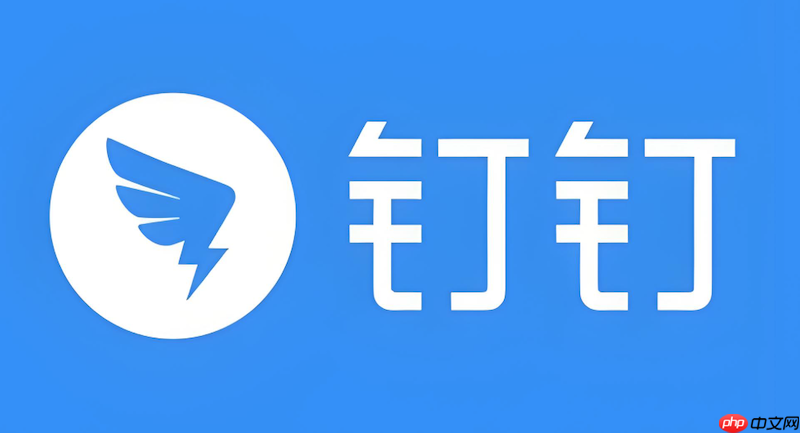 钉钉视频无法全屏怎么办 钉钉视频画面优化与设置技巧