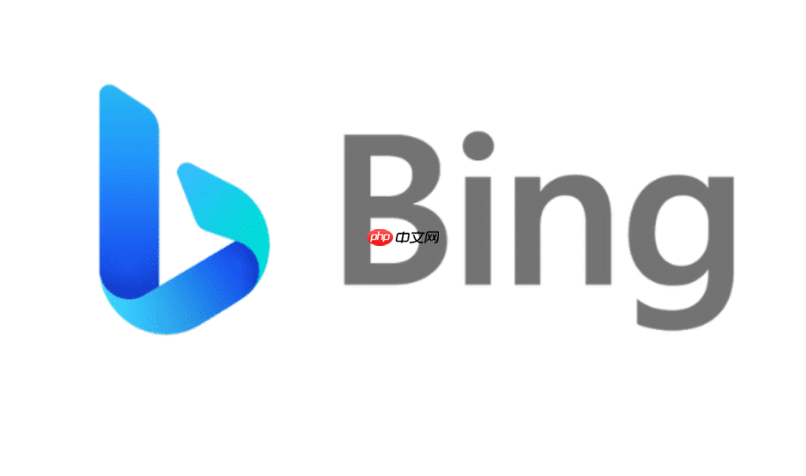 必应bing国际版入口 必应国际站搜索网页入口