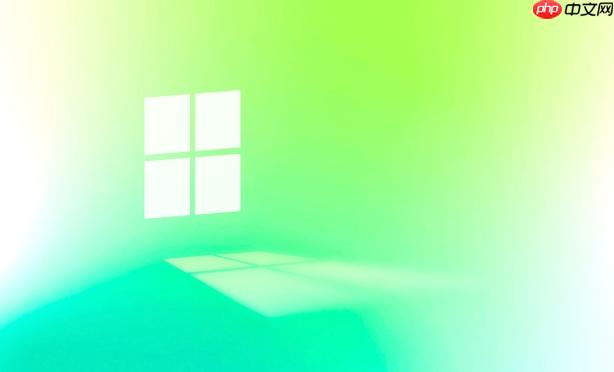如何在 Windows 7 上运行 Stray