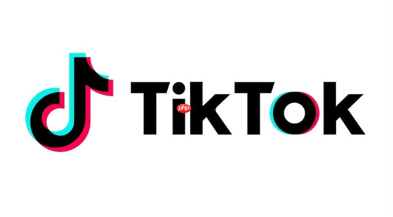 TikTok私信无法发送图片怎么办 TikTok图片消息发送修复方法