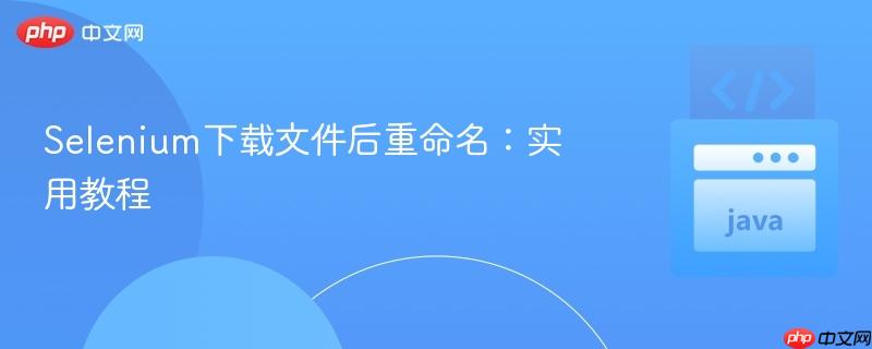 Selenium下载文件后重命名：实用教程