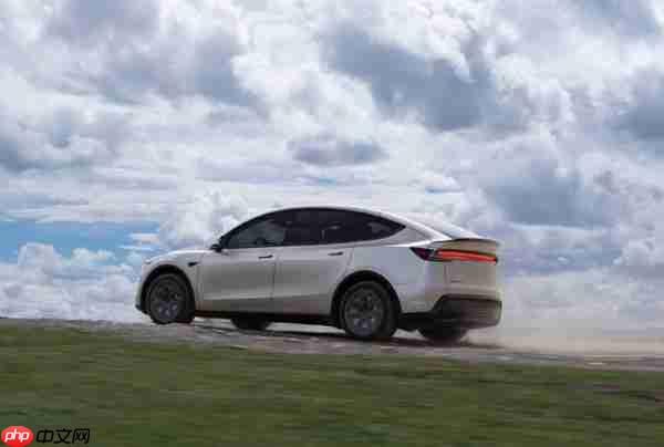 Stellantis 前 CEO：特斯拉将被中国车企击败 马斯克犯了错 