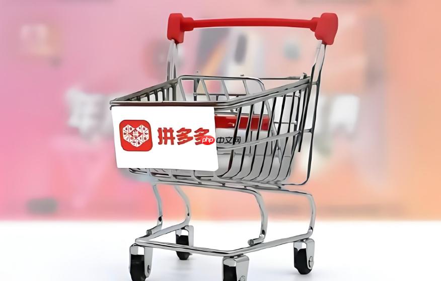 拼多多退货流程怎么查看_拼多多退货流程查询详细步骤