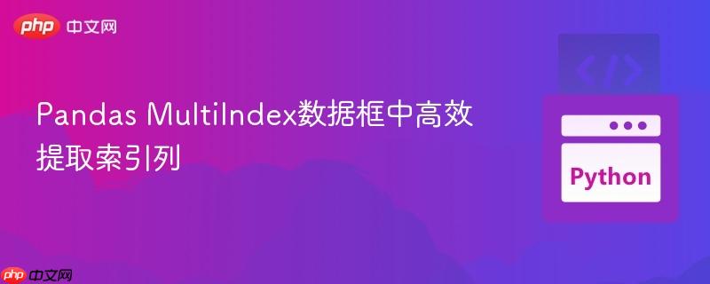 Pandas MultiIndex数据框中高效提取索引列