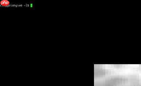 linux使用常见问题解答