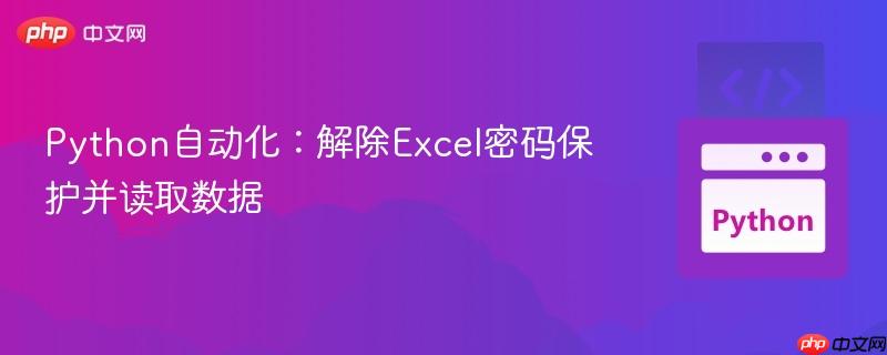 Python自动化：解除Excel密码保护并读取数据