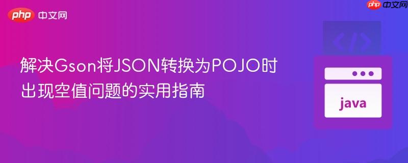 解决Gson将JSON转换为POJO时出现空值问题的实用指南