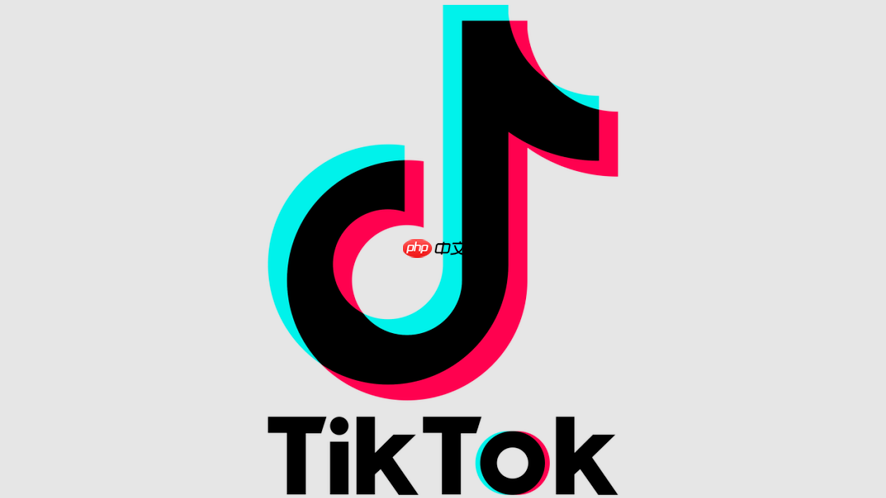 海外TikTok访问官网链接_海外TikTok访问官网链接直达在线观看