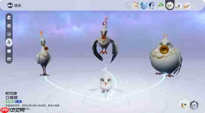 《伊莫》口哨鸥介绍