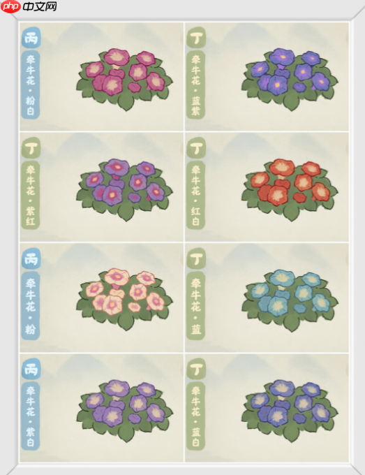 《桃源深处有人家》牵牛花育种配方大全