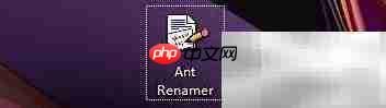 Ant Renamer修改扩展名方法