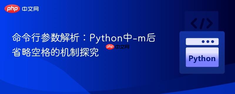 命令行参数解析：Python中-m后省略空格的机制探究