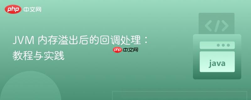 JVM 内存溢出后的回调处理：教程与实践