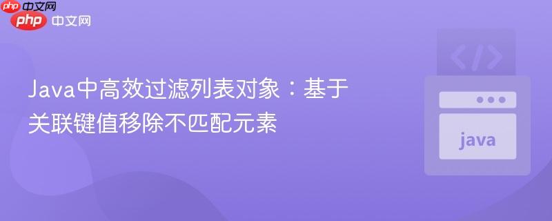 Java中高效过滤列表对象：基于关联键值移除不匹配元素