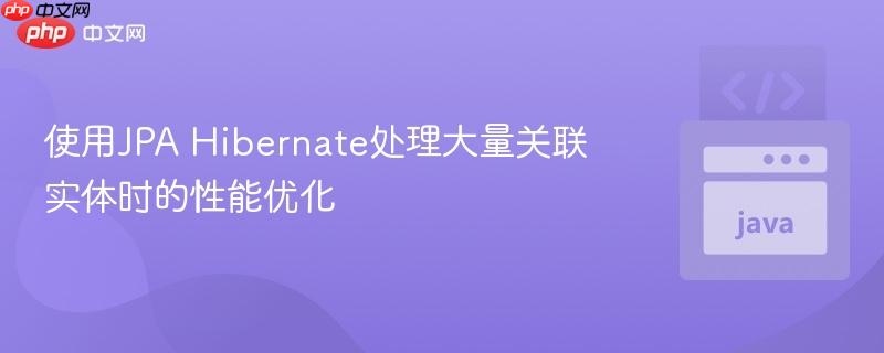 使用JPA Hibernate处理大量关联实体时的性能优化
