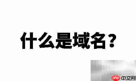 域名是什么？一文读懂