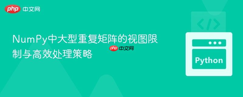 NumPy中大型重复矩阵的视图限制与高效处理策略