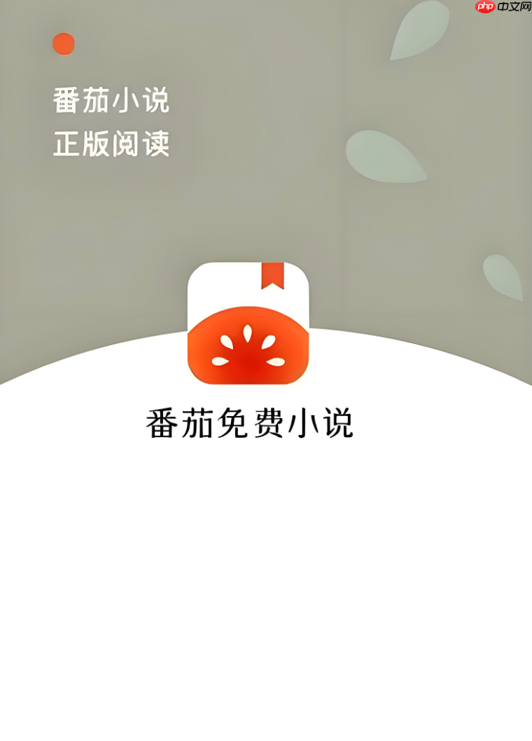 番茄免费小说为什么一直显示网络错误_番茄免费小说网络错误原因分析