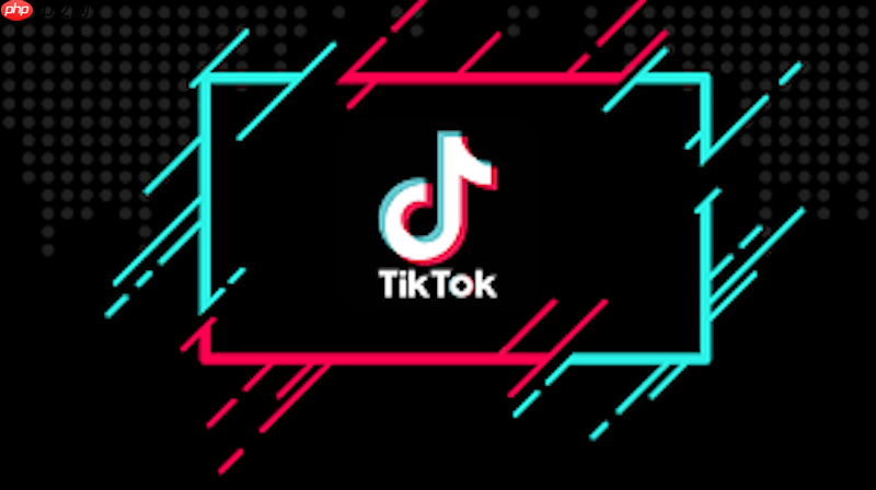 tiktok网页登录入口 tiktok正版官网在线登录