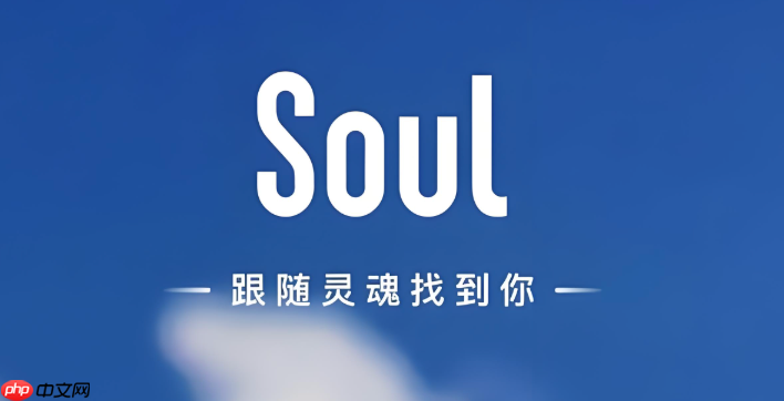 soul怎么将自己的一条瞬间进行置顶_Soul瞬间置顶方法