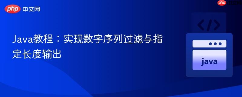 Java教程：实现数字序列过滤与指定长度输出