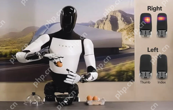 揭秘特斯拉人形机器人训练内幕：员工身心俱疲，感觉像“小白鼠” - 创想鸟