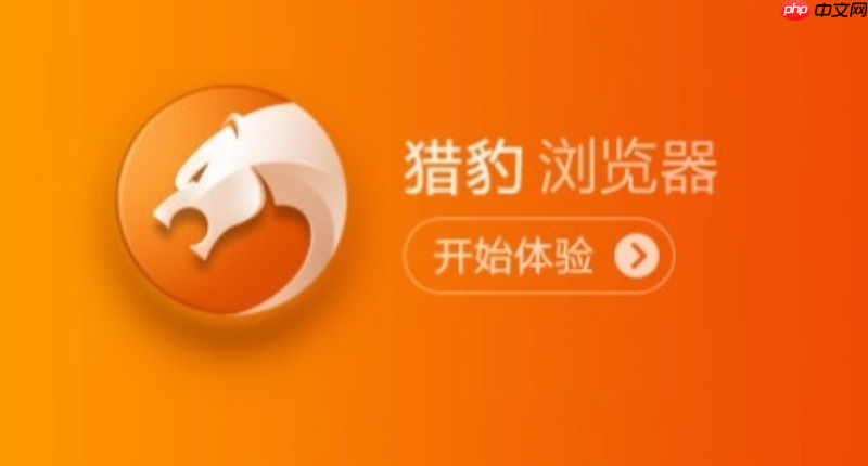 猎豹浏览器官方网站入口地址 猎豹浏览器平台直达官方首页链接
