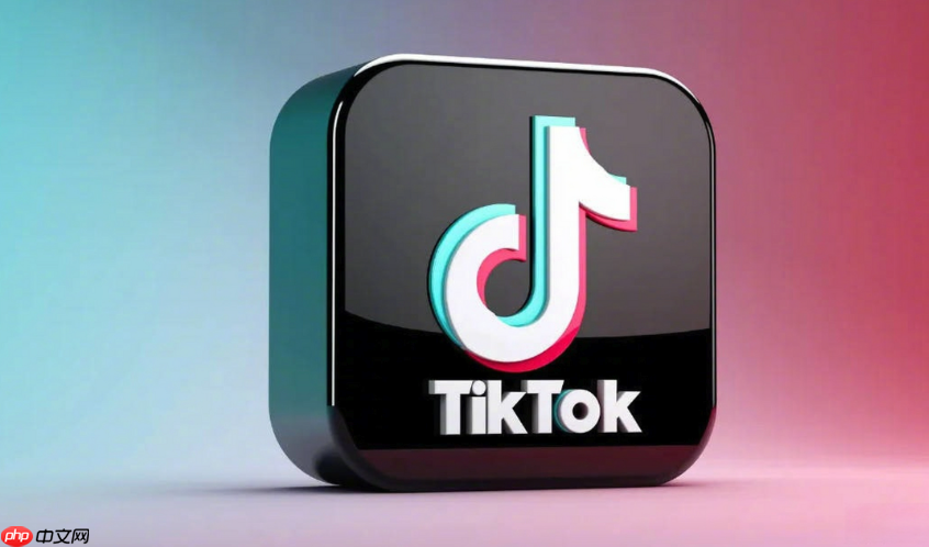 TikTok国际版直连入口_TikTok国际版直连入口进入在线观看