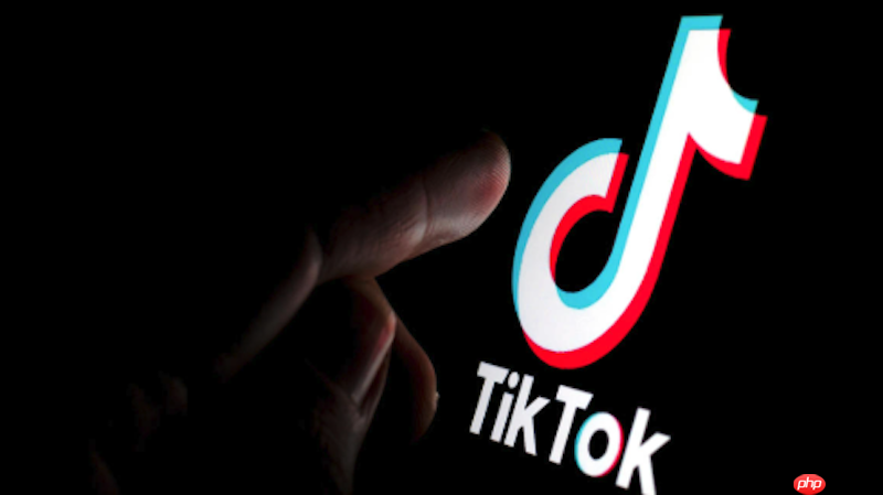 tiktok正版在线登录 tiktok官方网站登录入口