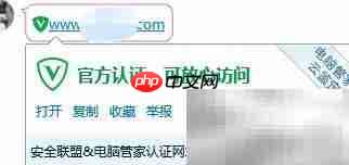 绿标域名加什么变绿？