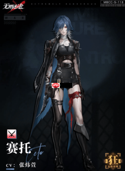 《无期迷途》赛托介绍