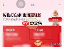 京东白条如何一次还清欠款