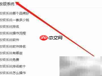 正版收银系统下载指南