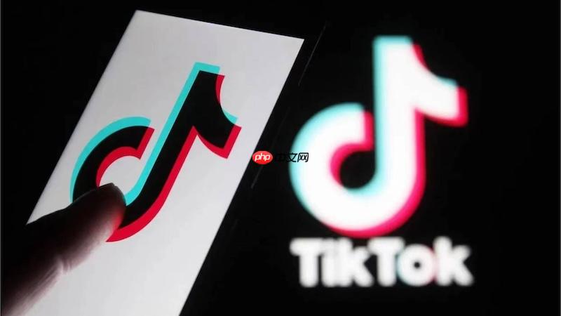 TikTok私信无法接收消息怎么办 TikTok私信接收修复方法