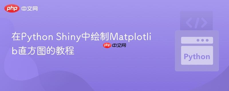 在Python Shiny中绘制Matplotlib直方图的教程