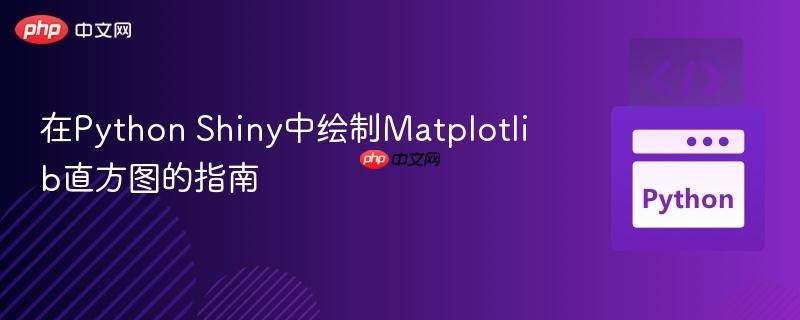 在Python Shiny中绘制Matplotlib直方图的指南
