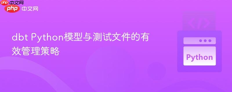 dbt Python模型与测试文件的有效管理策略