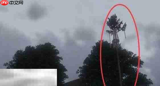 天国拯救2旷世杰作支线任务怎么完成 旷世杰作支线任务完成攻略