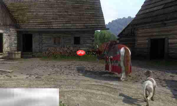 天国拯救2税吏支线任务怎么完成 税吏支线任务完成攻略