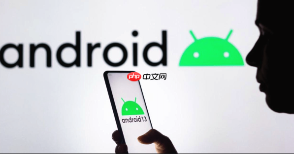 realme GT6 WiFi掉线 realme GT6 网络修复方法
