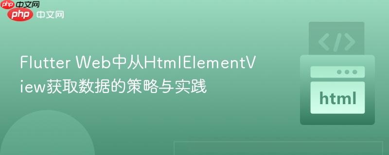 flutter web中从htmlelementview获取数据的策略与实践